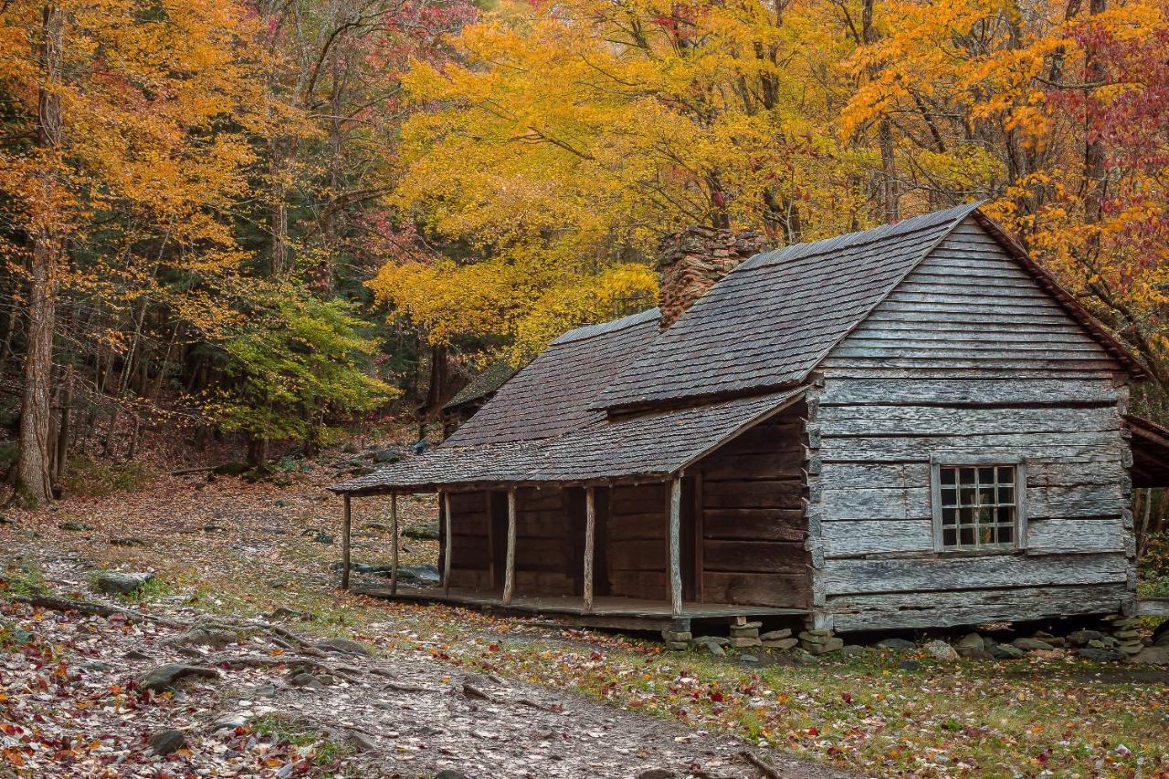 Love Shack Sevierville Exteriör bild